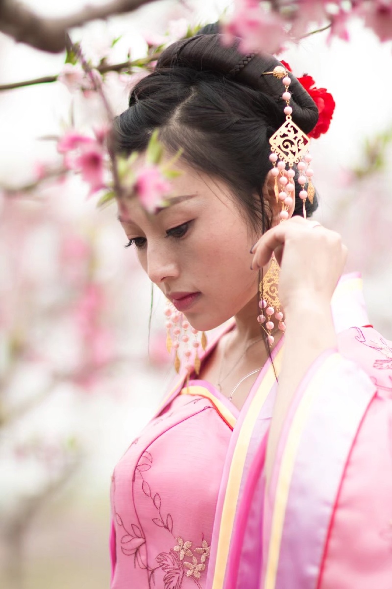 北国有佳人,容华若桃李