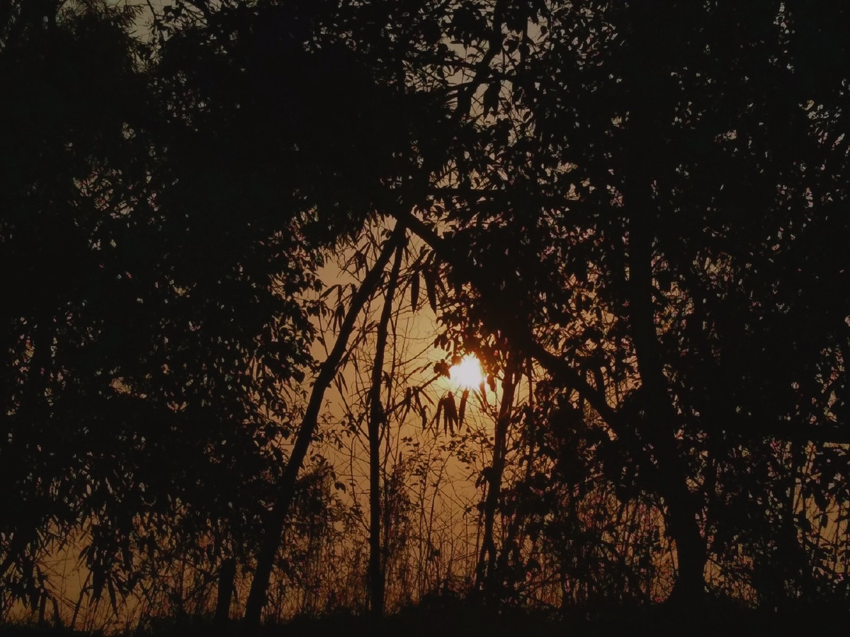 日暮黄昏.是哀,是伤,是离别,是永远.