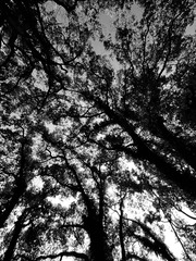 28806D04-8653-4E2A-B7A1-A3A6BA2A6344/L0/001