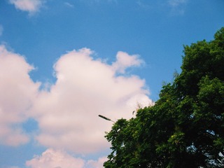 2120A57D-26D9-49EF-81F0-5F7EBEE87D8A/L0/001