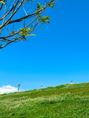 423B6D0F-C3E1-4AAC-9A2E-3D23F2EBA0F1/L0/001