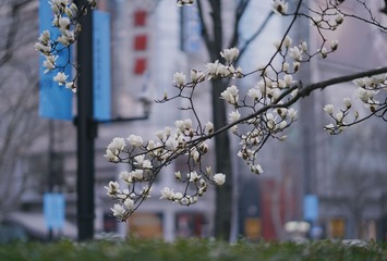 395D2E0F-BE92-41C0-A368-F2CDF3061BC0/L0/001