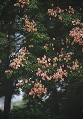 273D774D-6411-4CDE-A2A9-EF7B62AD8F4A/L0/001