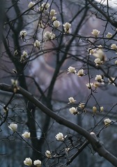 2B4F2231-85C7-40F3-8CC9-06B9119F275B/L0/001