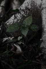 02E6A79D-AE9D-4FC4-BB12-358DB472062B/L0/001