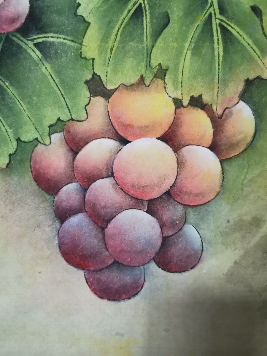 工笔葡萄