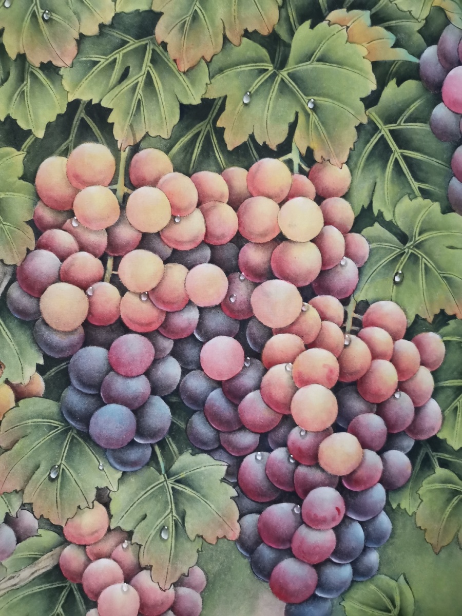 工笔葡萄