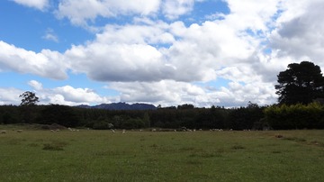 DSC01744-1