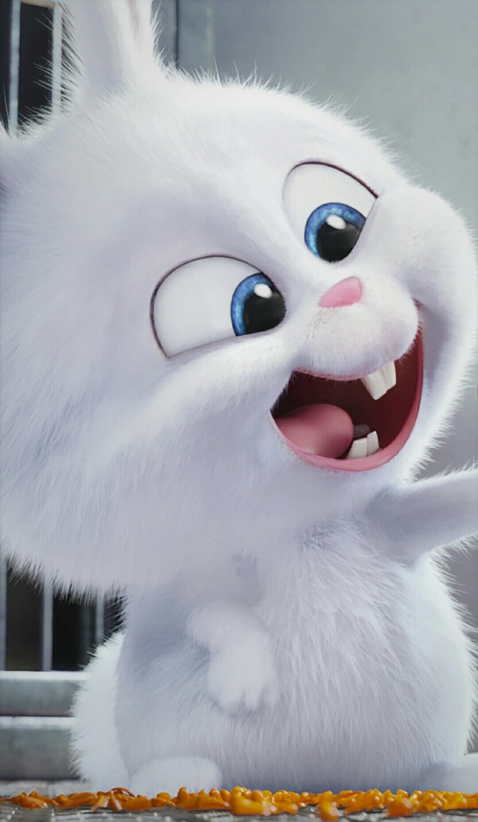 兔兔那么可爱啊