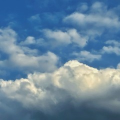 50173896-9921-47F1-8FAB-DD543ECD365F/L0/001