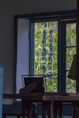 IMG_6352-1