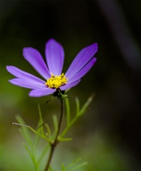 IMG_6184-1