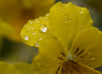 IMG_8478-1