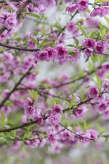 IMG_8789-1