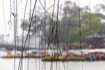 IMG_8750-1