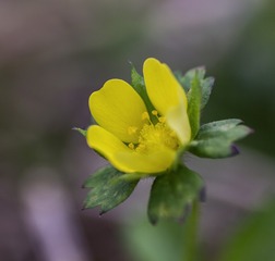 IMG_0787-1