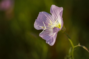 IMG_1703-1