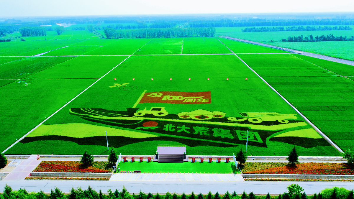 2021年新华农场稻田画