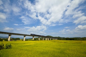 《思良江之秋》+苏一平摄