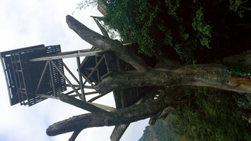 2542302