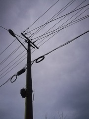 472253