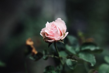 58FB08AE-4A5C-40FA-8476-747A3621769C/L0/001