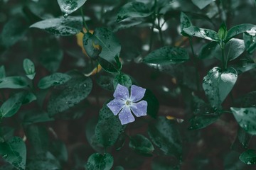 C724BE86-0DBB-445E-849B-03990F283B71/L0/001