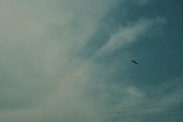 BB7872C3-EB87-443A-817B-065DA3C4FA14/L0/001
