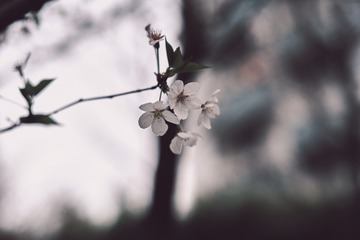 1DCCBDE3-74AB-41DF-97CA-B2DD9EE2B2BC/L0/001