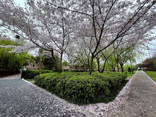 3B302A07-BBCC-4988-92F8-B82E68F5C7FE/L0/001
