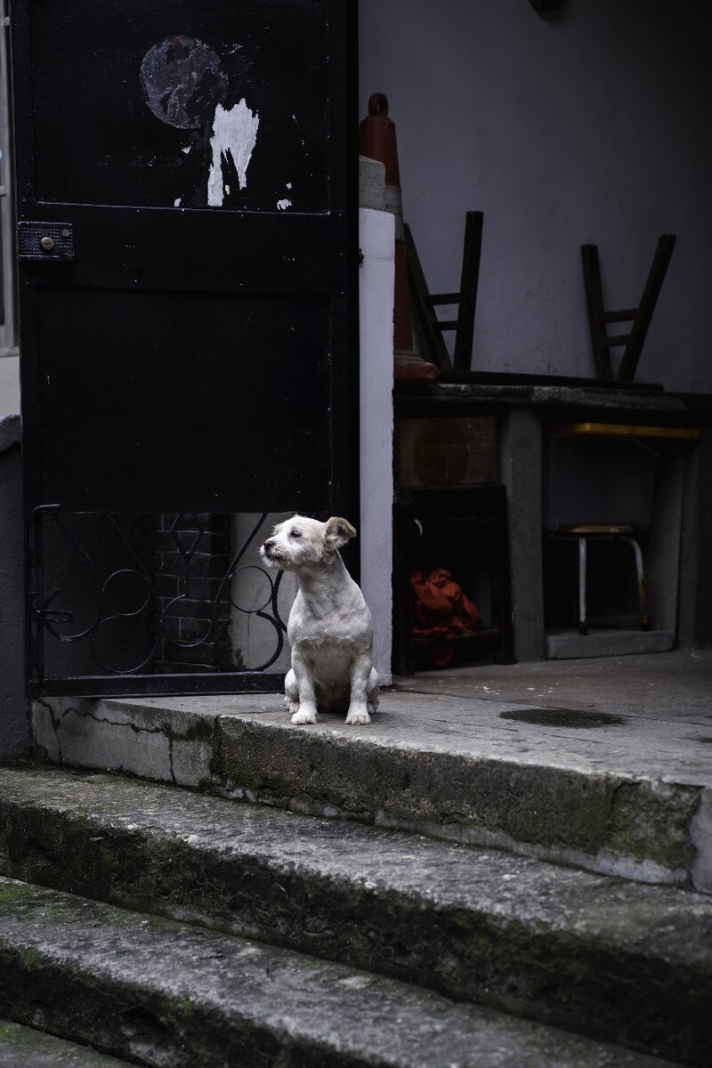 小凶悍