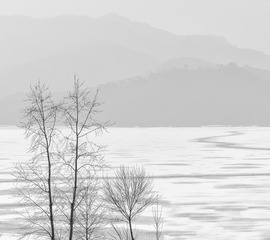 2003229