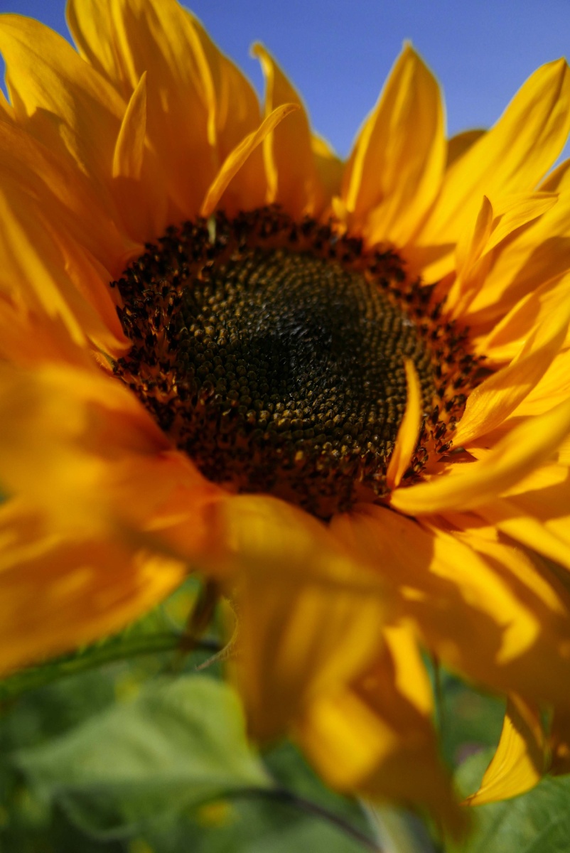 和暖阳光下的年初五