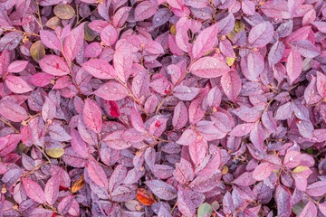 _DSC0417