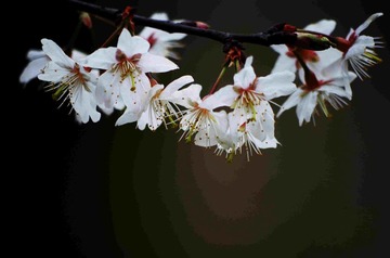 IMGP4327_