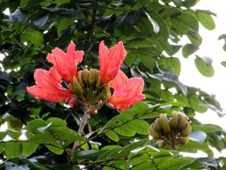 IMG_0125 - 