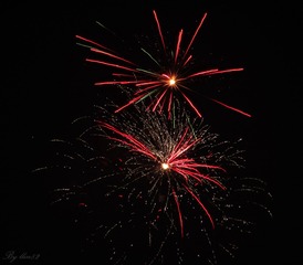 IMG_0776 - 