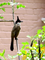 IMG_3465 - 