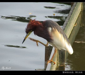 IMG_3610 - 