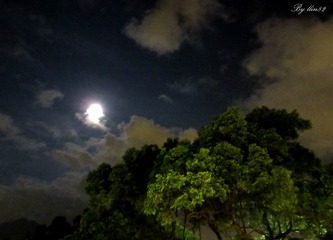 IMG_3691 - 