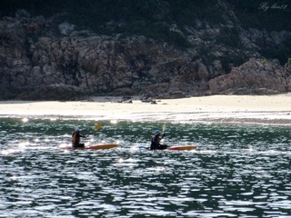 IMG_5585 - 