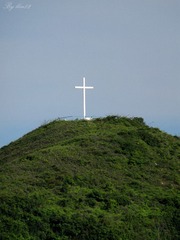 IMG_5588 - 