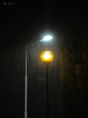 IMG_5622 - 