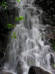 IMG_6612 - 
