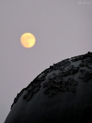 IMG_6697 - 