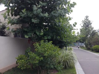 1035546