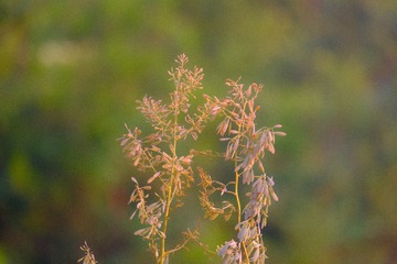 200102