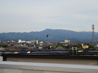 816005
