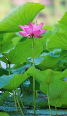 1BAFB1DB-D978-454A-A934-E0F124945CDE/L0/001