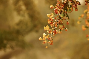 CB301367-2027-4D2B-9C2C-4255F351FD39/L0/001